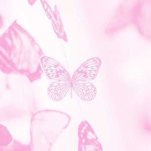 Meet your Posher, Josephine